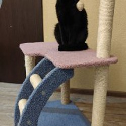 Домик-когтеточка для котов - фото 2