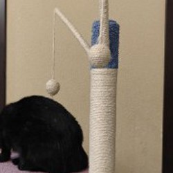 Домик-когтеточка для котов - фото 3