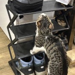 Тканевый подвесной органайзер - фото 8