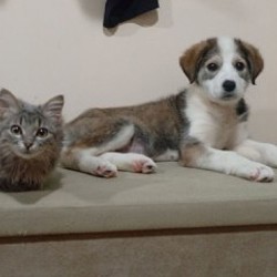 Подвеска Україна - фото 4