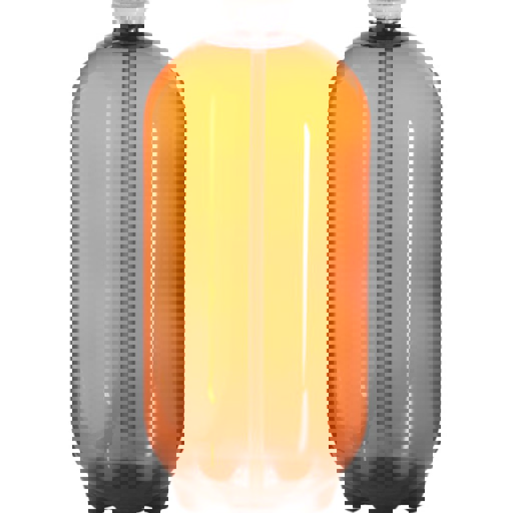 БУ пластиковые кеги