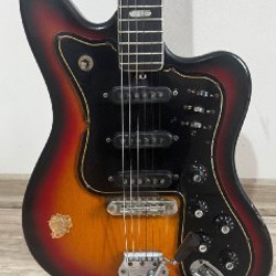 Электрогитара Musima Eterna De Luxe 25 - фото 2