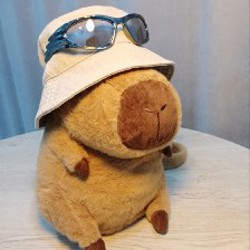 Солнцезащитные очки - фото 4