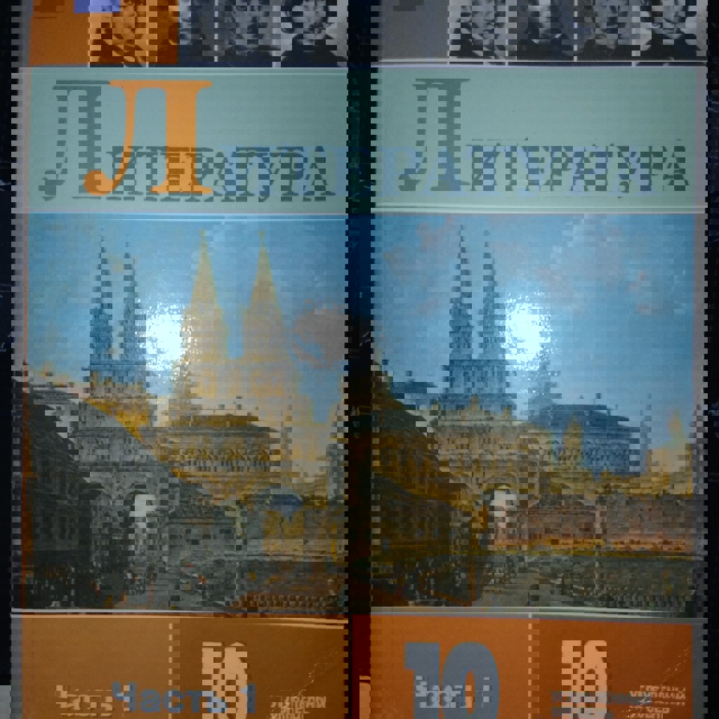 Учебник по литературе 10 класс