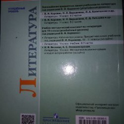 Учебник по литературе 10 класс - фото 2