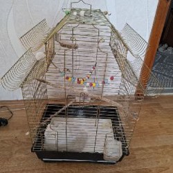 Клетка для птиц - фото 4