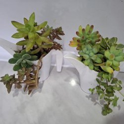 Клетка для птиц - фото 8