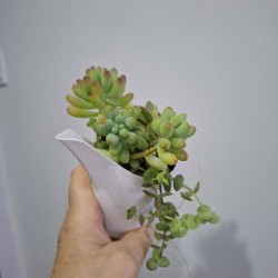 Клетка для птиц - фото 9