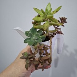 Клетка для птиц - фото 10