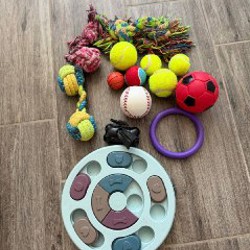 Рулетка Flexi size M для собак до 25 кг - фото 7