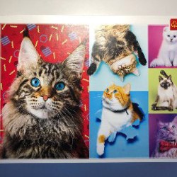 Пазл 1000 деталей Marvel - фото 2