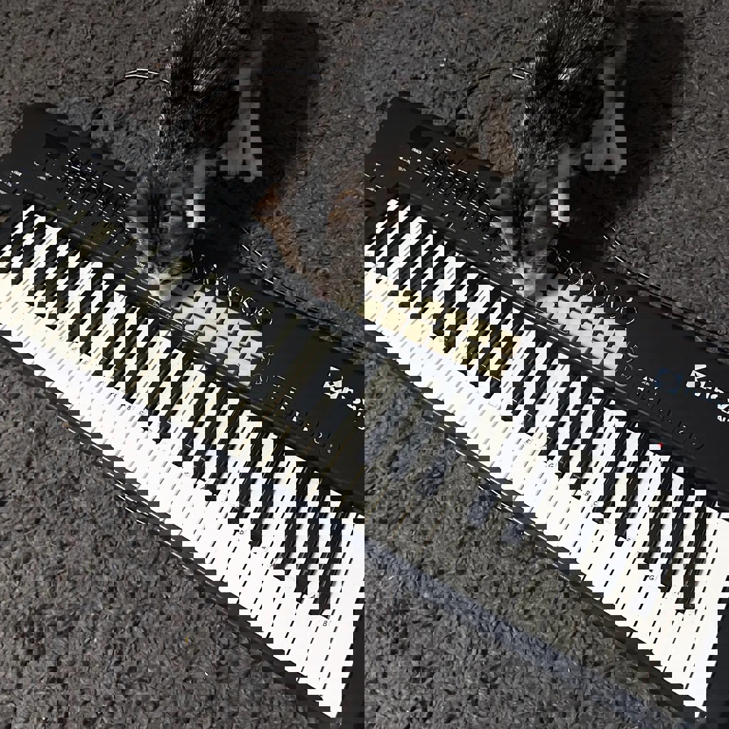 Novation Launchkey 49