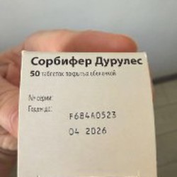 Сорбифер - фото 2