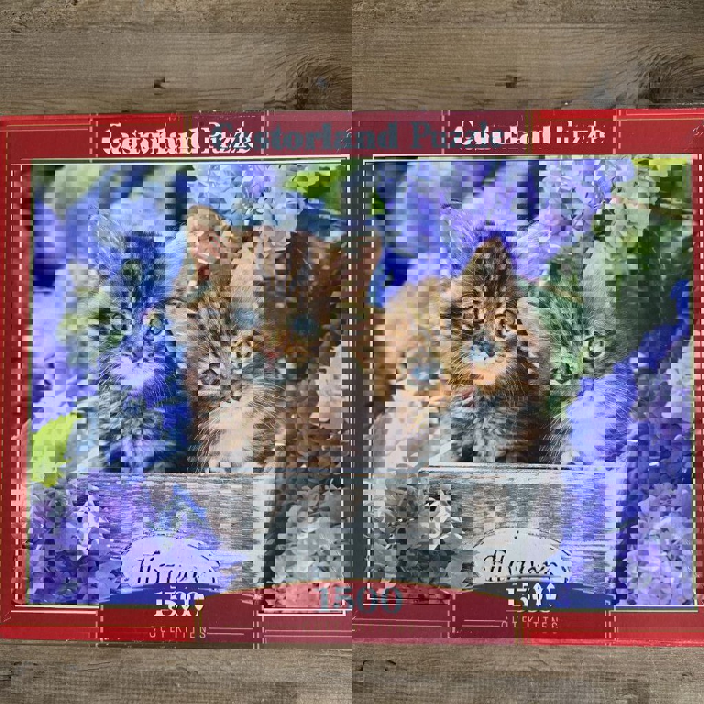 Пазлы 1000 элементов