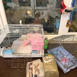 Сено и опилки - фото 1