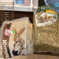 Сено и опилки - фото 6