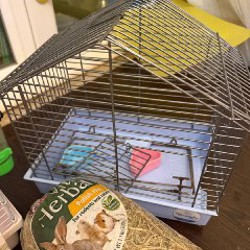 Сено и опилки - фото 3