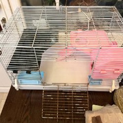 Сено и опилки - фото 4