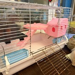 Сено и опилки - фото 5