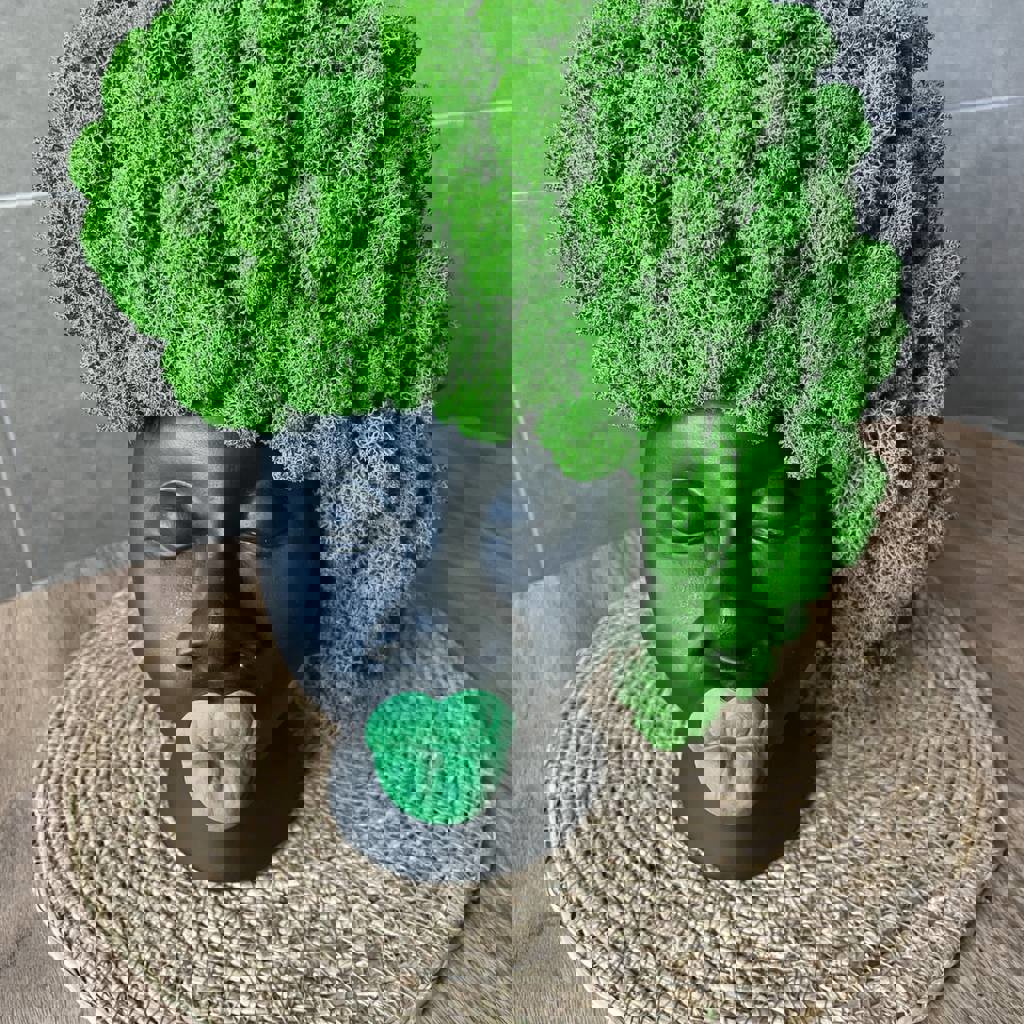 Фигуры со стабилизированным мхом