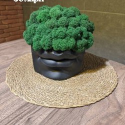 Фигуры со стабилизированным мхом - фото 4