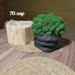 Моама - фото 7