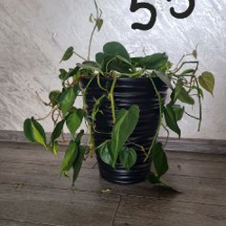 Коврик для йоги - фото 5