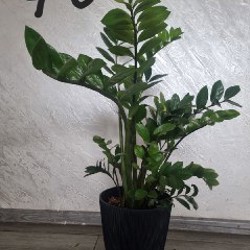 Коврик для йоги - фото 6