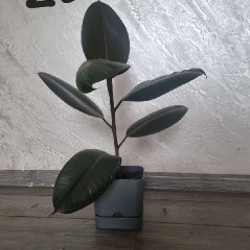 Коврик для йоги - фото 7