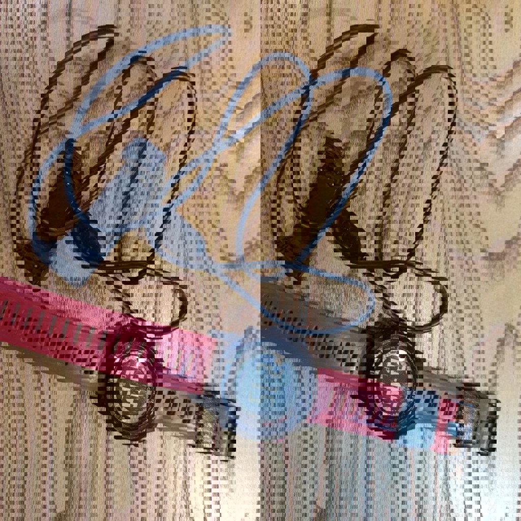 Часы Garmin fenix 2