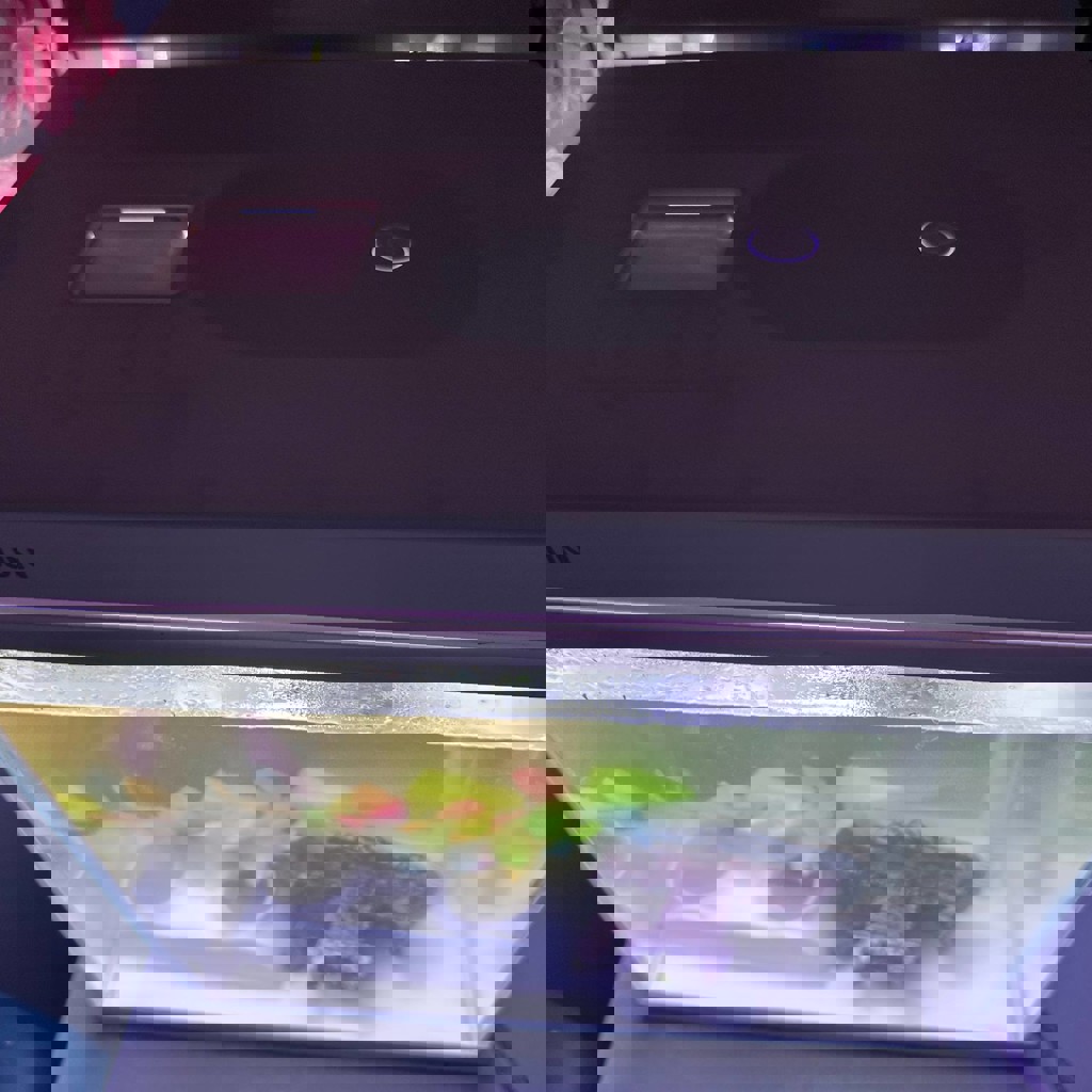 Аквариум с рыбками