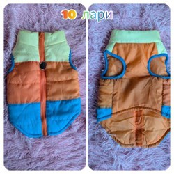 Куртка для собаки - фото 2