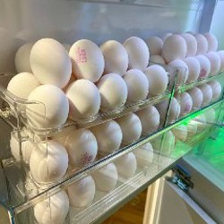 Органайзер для яиц - фото 5