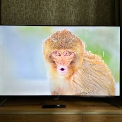 Телевизор Xiaomi TV A Pro 55 - фото 2