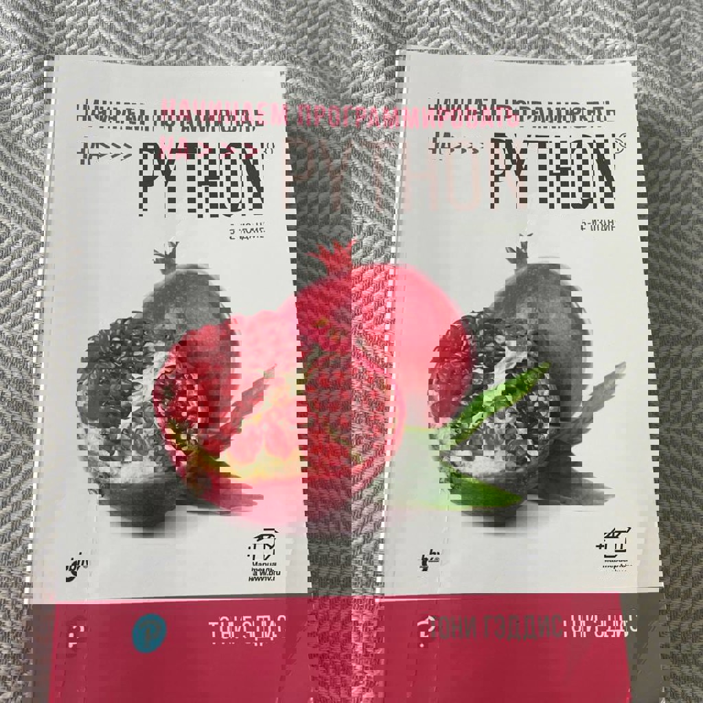 Начинаем программировать на Python