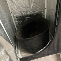 Гроубокс - фото 2