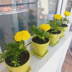 Горшочки для цветов - фото 3