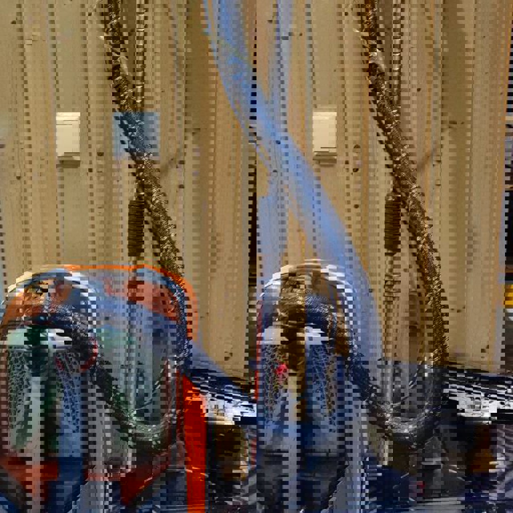 Пылесос Thomas Pet & Family