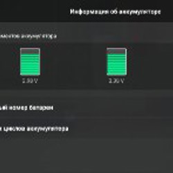 DJI Mini 3 Pro: Fly More Combo+ - фото 3