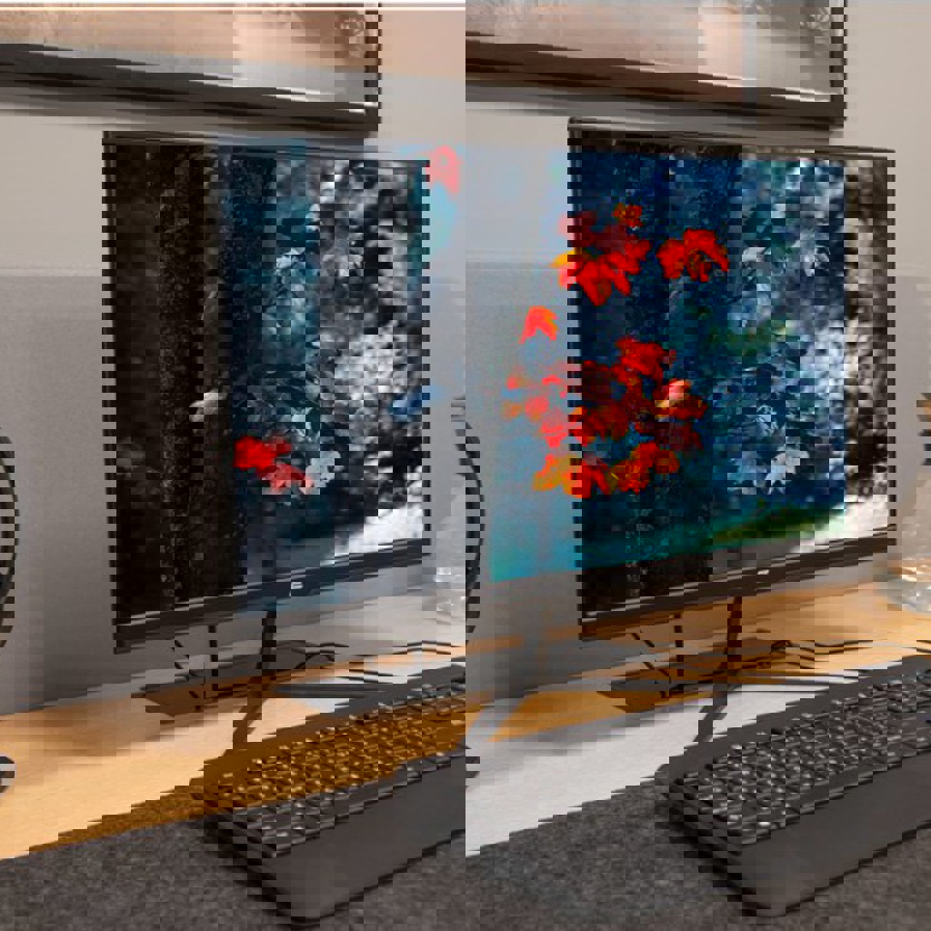 Монитор 2E C2420B