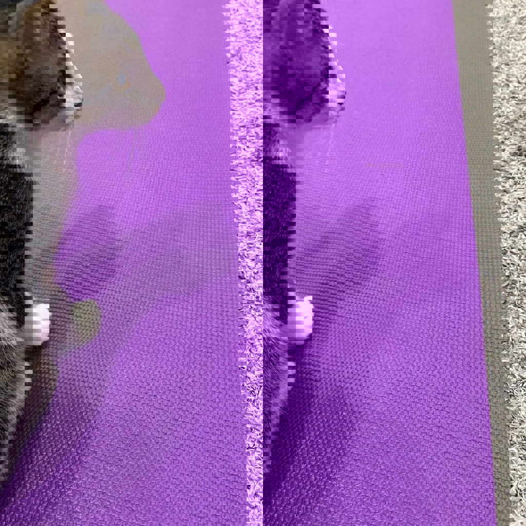 Коврик для йоги