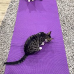 Коврик для йоги - фото 2