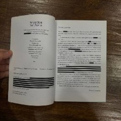 Спрингфилд - фото 3