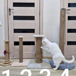 Когтеточка 4 - фото 1