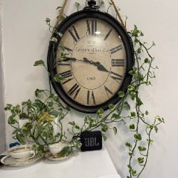 Вьюн - фото 4