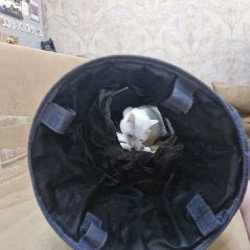 Новогоднее жабо для кота - фото 8