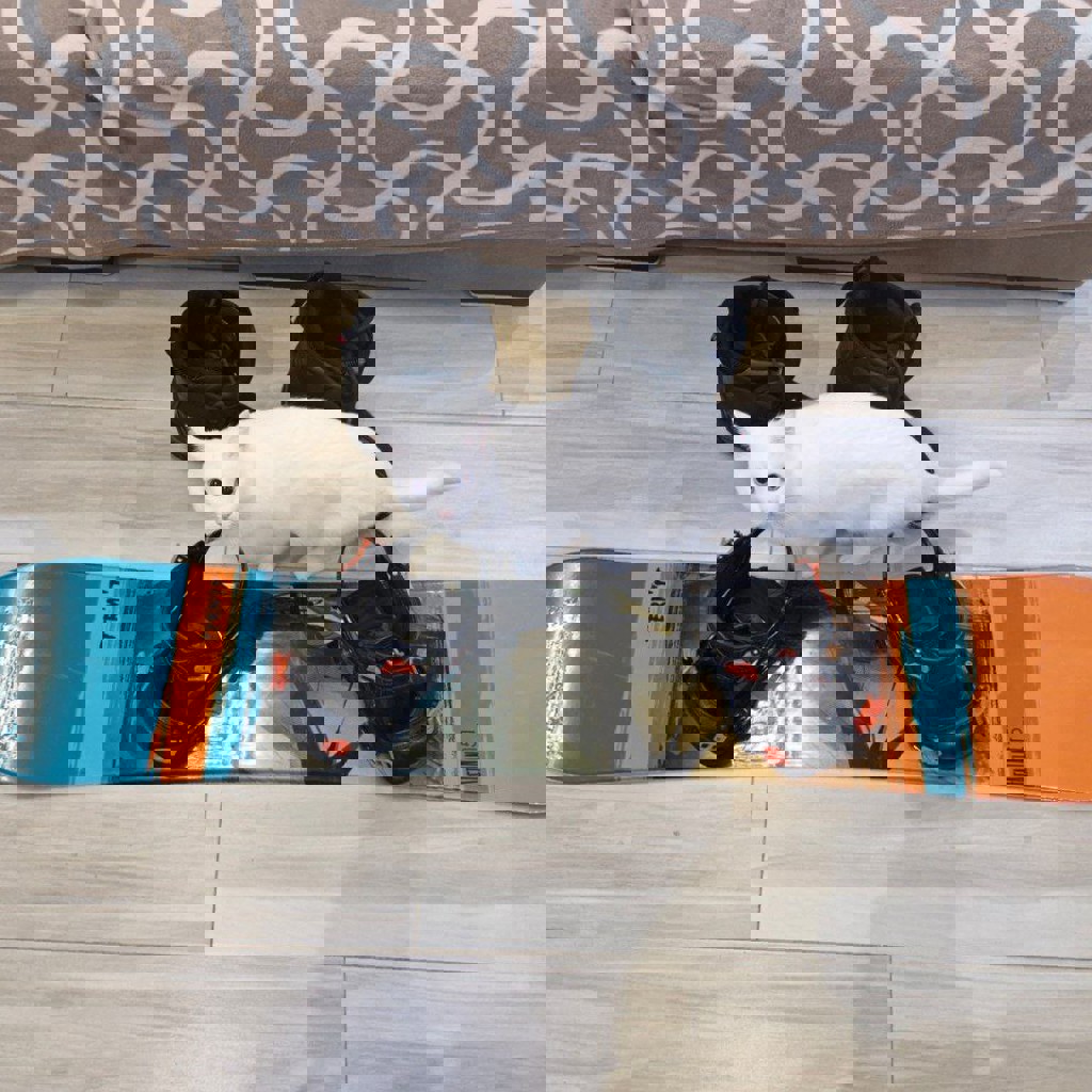 Комплект сноуборда