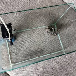 Аквариум - фото 2