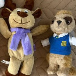 Азалия розовая - фото 4