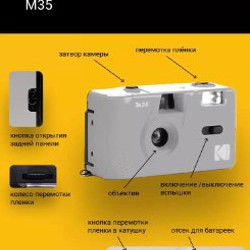 Сумка - фото 1